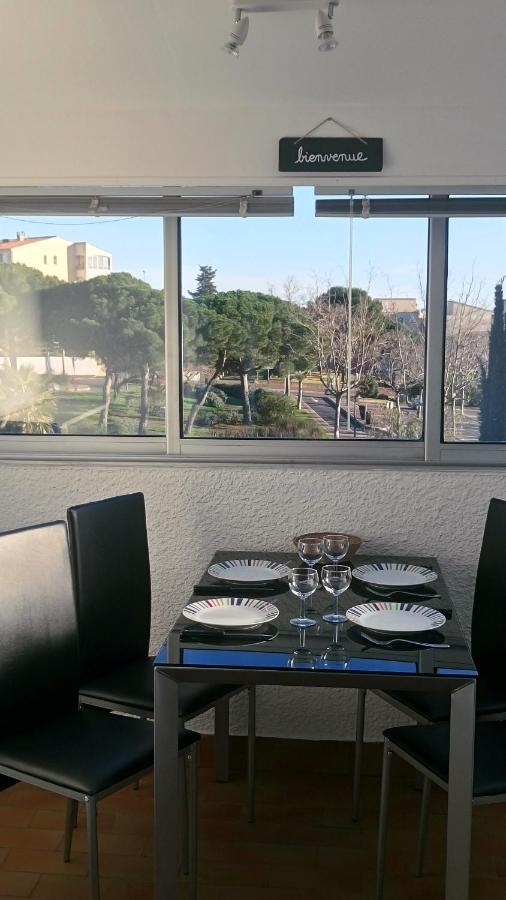 Lara 3 - T2 Loggia Piscine 2 Lits Doubles Parking Pres Du Centre-Port Et Ile Loisirs Apartment Agde Luaran gambar